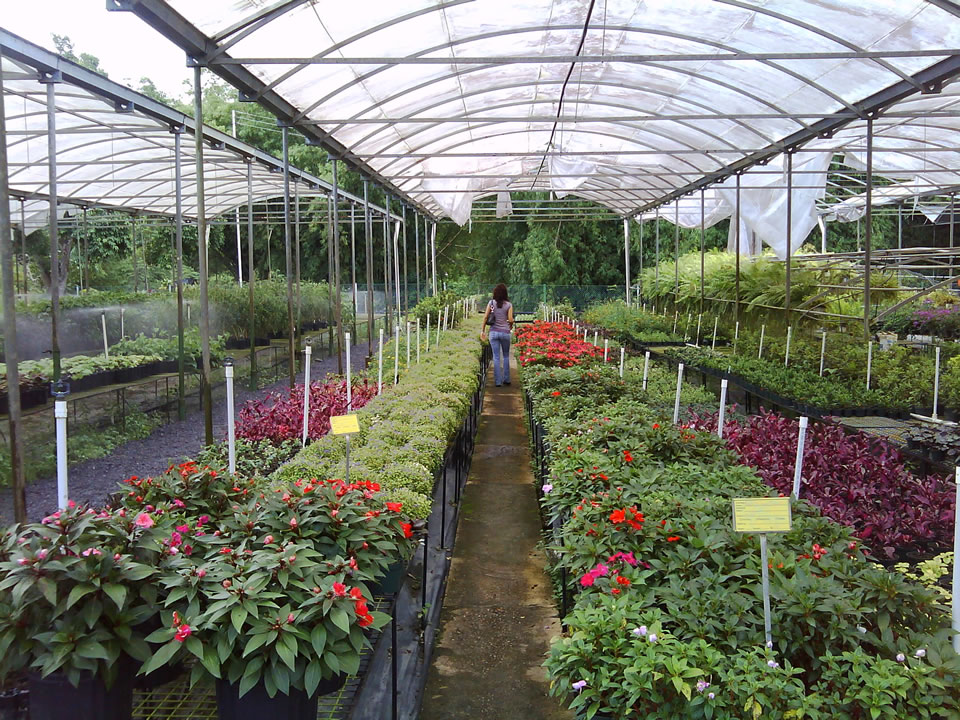 nursery_samplepic4 » Hunter's Nursery