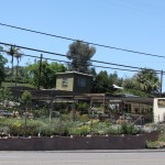 Hunter's Nursery in Lemon Grove easy access from all areas of San Diego