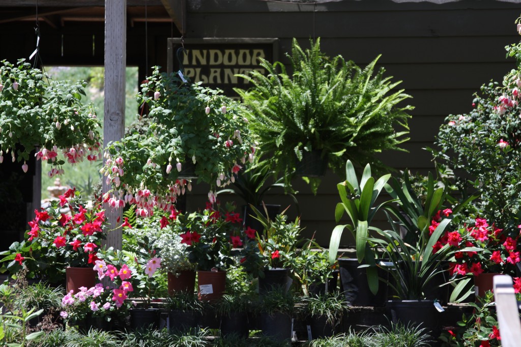 Home hunter's nursery